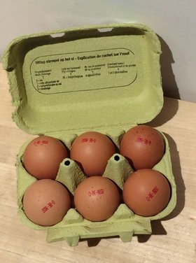 Toubio Oeufs "Censier"