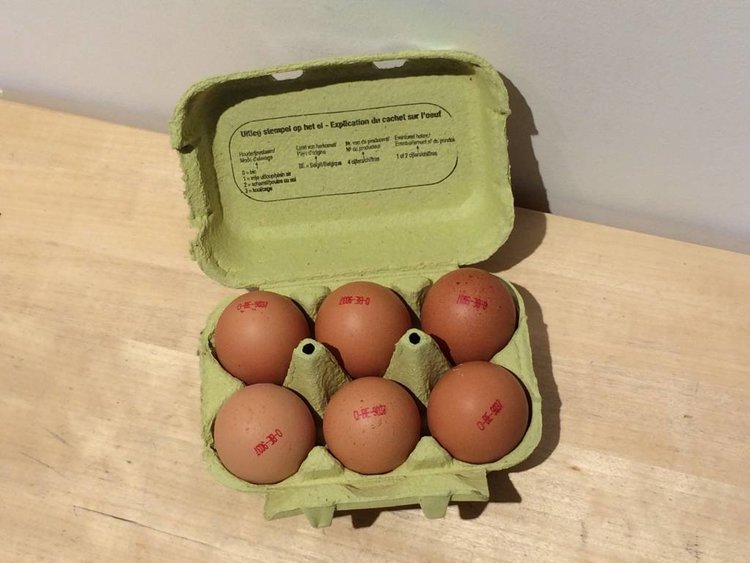 Toubio Oeufs "Censier"