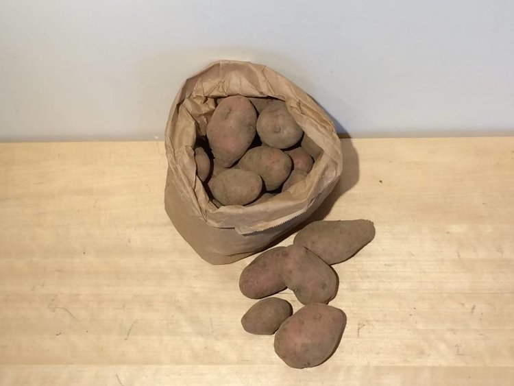 Toubio Pomme de Terre "Nicola" - 2 kg