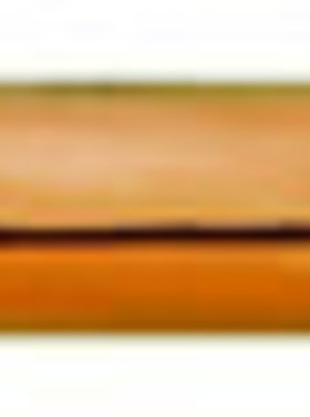 Quelle est Belle Company Chouette chevêche