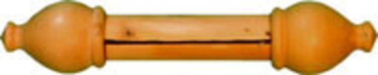 Quelle est Belle Company Chouette chevêche