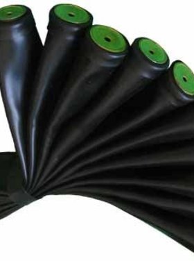 Quelle est Belle Company Etourneau sansonnet