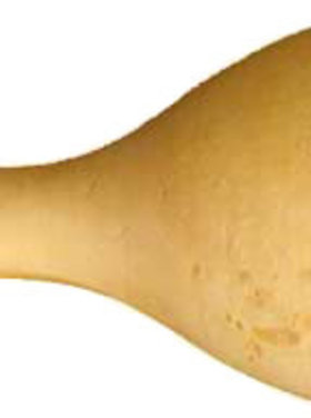 Quelle est Belle Company Grive musicienne - bois