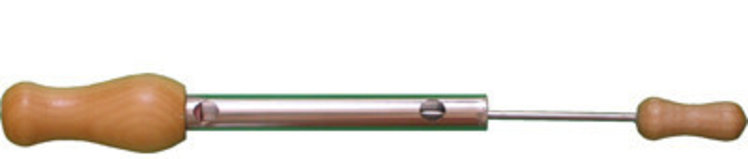 Quelle est Belle Company Mésange bleue