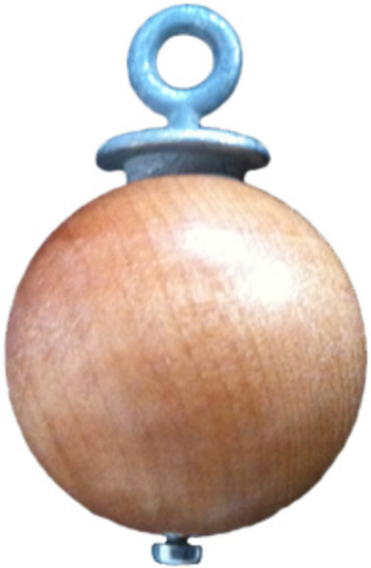 Quelle est Belle Company Rougegorge