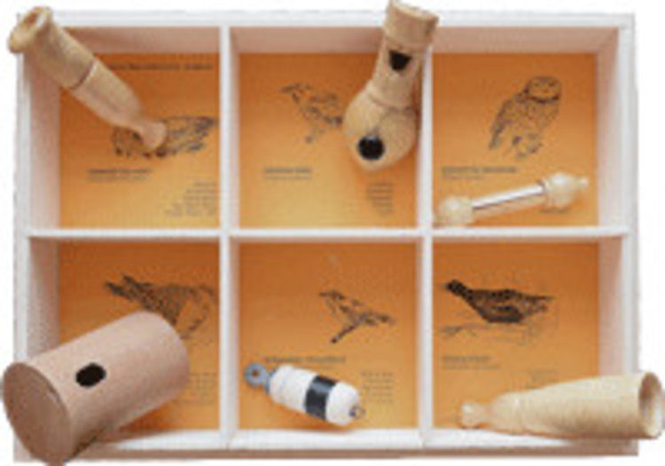 Quelle est Belle Company 6 nids oiseaux Europe