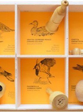 Quelle est Belle Company 6 nids didactiques