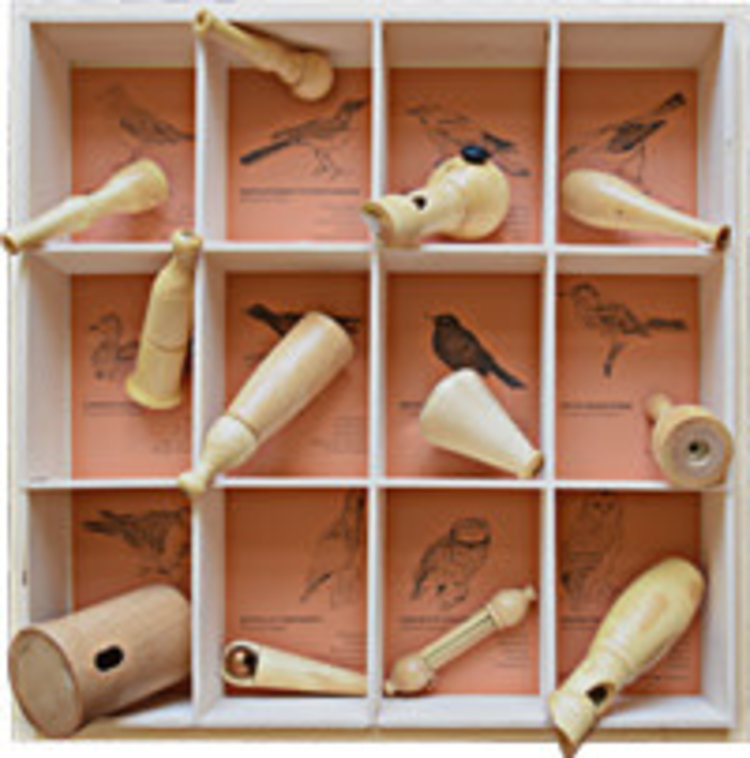 Quelle est Belle Company 12 nids oiseaux d'Europe - coffret