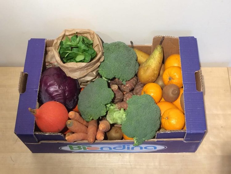 Toubio Panier fruits et légumes