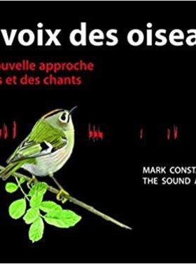 Delachaux et Niestlé La voix des oiseaux