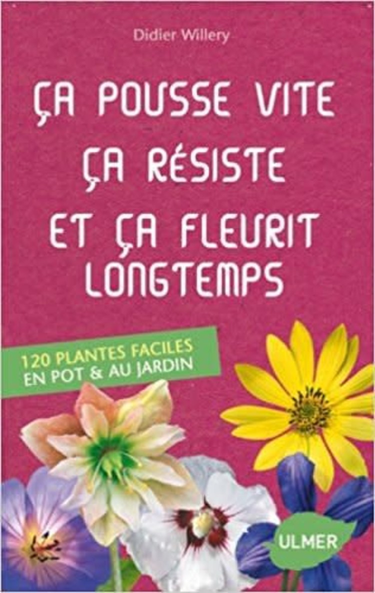 Ulmer ça pousse vite ça résiste et ça fleurit longtemps
