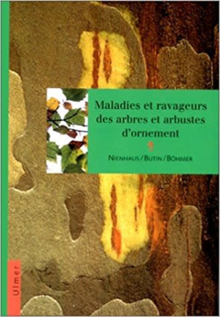Ulmer Maladies et ravageurs des arbres et arbustes d'ornement