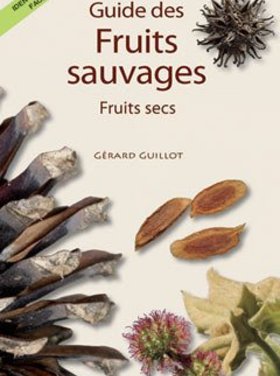 Belin Guide des fruits sauvages : fruits secs