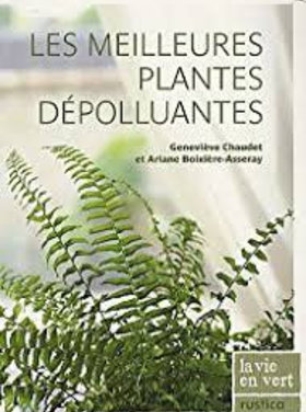 Rustica Les meilleures plantes dépolluantes