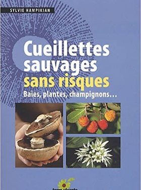 Terre vivante Cueillettes sauvages sans risques : baies, plantes, champignons...