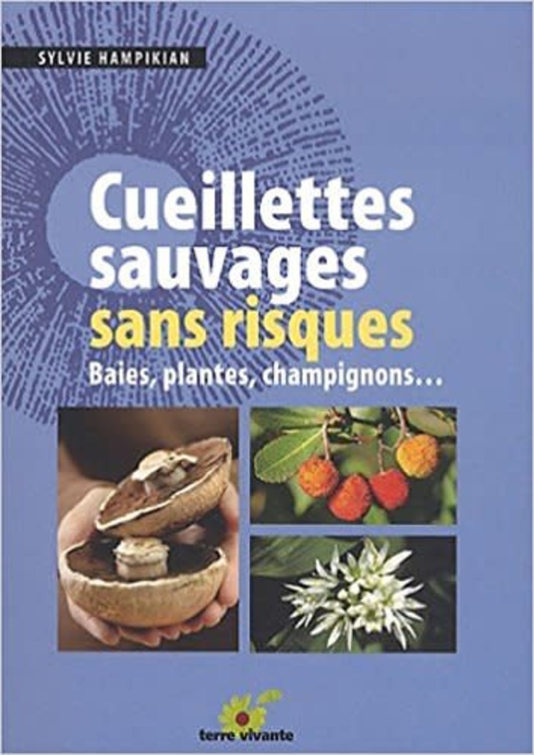 Terre vivante Cueillettes sauvages sans risques : baies, plantes, champignons...