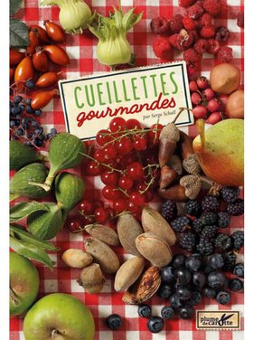 Plume de carotte Cueillettes gourmandes