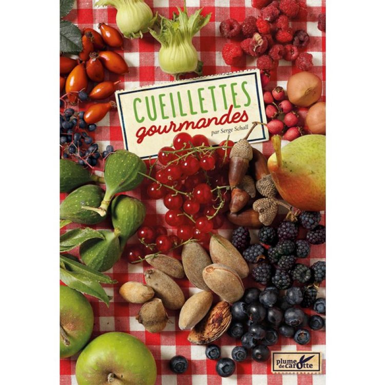 Plume de carotte Cueillettes gourmandes