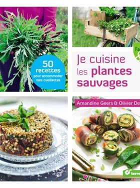 Terre vivante Je cuisine les plantes sauvages