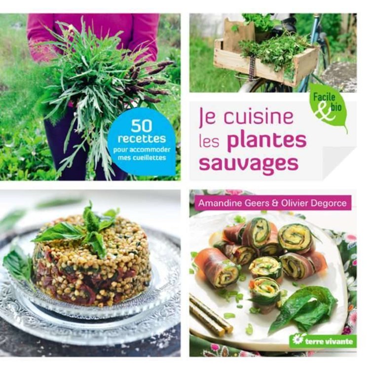 Terre vivante Je cuisine les plantes sauvages