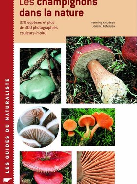 Delachaux et Niestlé Les champignons dans la nature