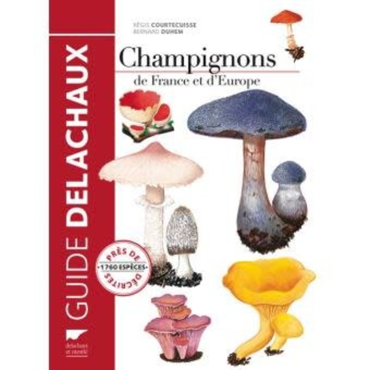 Delachaux et Niestlé Champignons de France et d'Europe