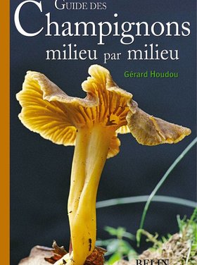 Belin Guide des champignons milieu par milieu