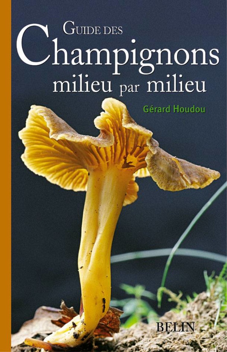 Belin Guide des champignons milieu par milieu