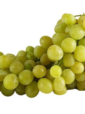 Toubio Raisin Italia Italie, 1 Kg