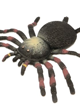 keycraft Tarentule étirable à billes 19cm