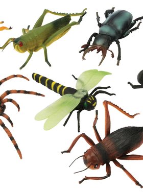 keycraft Insecte géant 15 cm