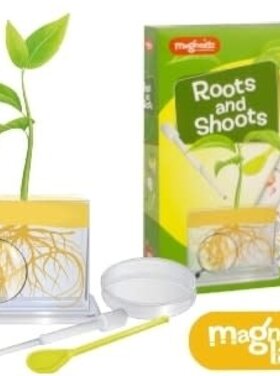 keycraft Kit science : racines et pousses 23 cm