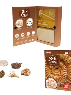 keycraft Kit de fouille de fossile 25 cm