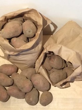 Toubio Pomme de terre "Agria" - 2 kg
