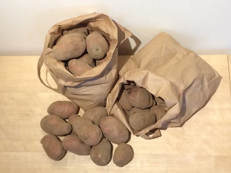 Toubio Pomme de terre "Agria" - 2 kg