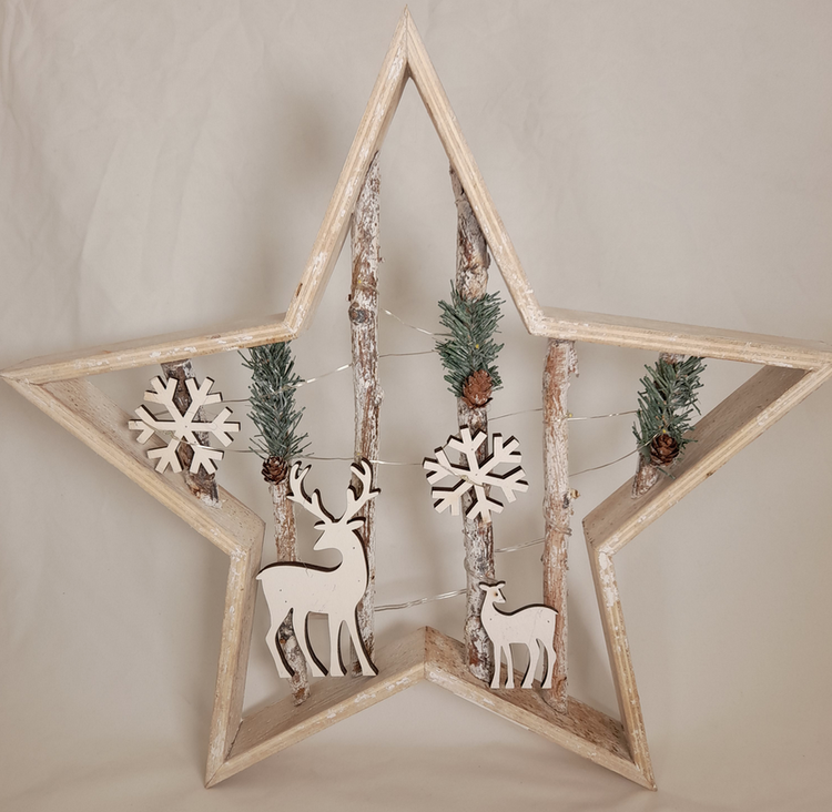 Dekoratief Deco mural cadre étoile rennes