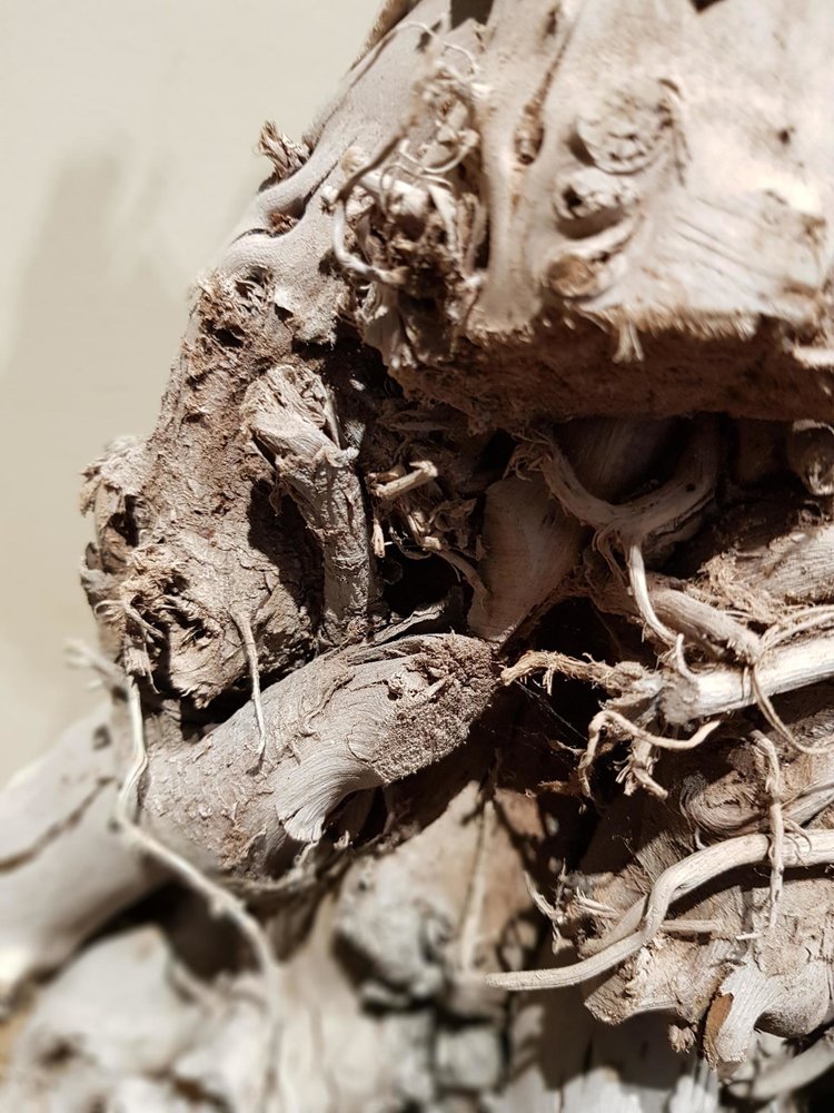 Dekoratief Sapin racines d'arbre