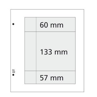 Davo Folienblätter L31 - 10 Stück