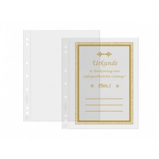Leuchtturm Blätter Numis 1C - 10 Stück
