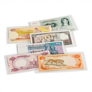 Leuchtturm Basic clear view banknote sheets