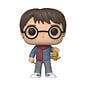 Funko Pop! Harry Potter 122 Holiday - Harry Potter