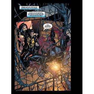 Dark Dragon Books Marvel Knights Spider-Man 2 Dood Spoor