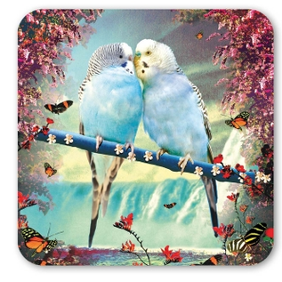 Lip International Max Hernn coaster - Budgies Couple