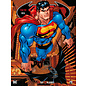 Dark Dragon Books Superman Batman - Staat van Beleg deel 1 van 2