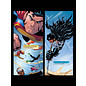 Dark Dragon Books Superman Batman - Staat van Beleg deel 2 van 2