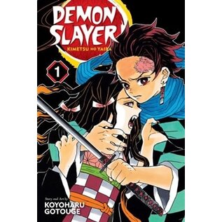 Viz Media Koyoharu Gotouge - Demon Slayer - Kimetsu no Yaiba