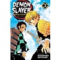 Viz Media Koyoharu Gotouge - Demon Slayer - Kimetsu no Yaiba