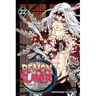 Viz Media Koyoharu Gotouge - Demon Slayer - Kimetsu no Yaiba