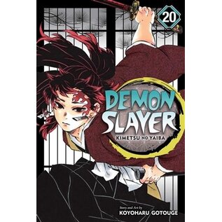 Viz Media Koyoharu Gotouge - Demon Slayer - Kimetsu no Yaiba