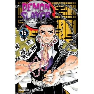 Viz Media Koyoharu Gotouge - Demon Slayer - Kimetsu no Yaiba